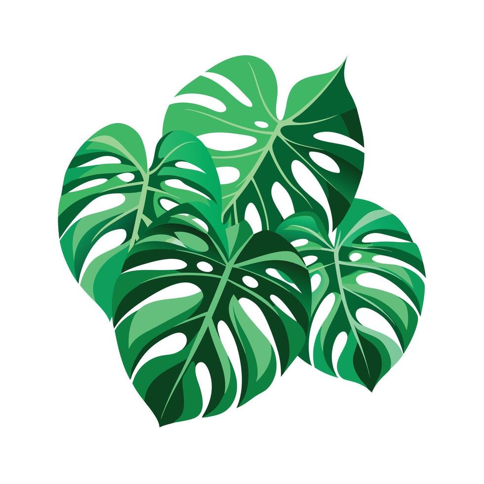 Realistic Beautiful Leaves Illustration vector