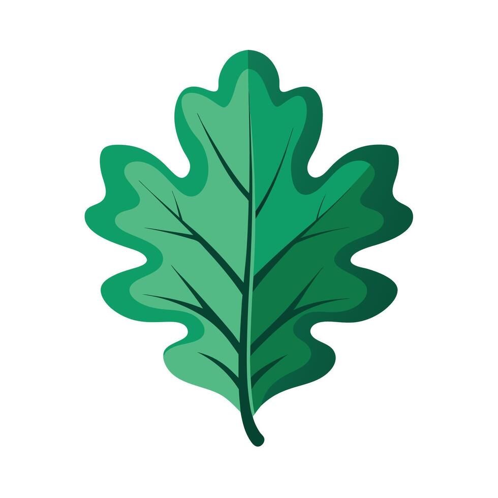 Realistic Beautiful Leaves Illustration vector