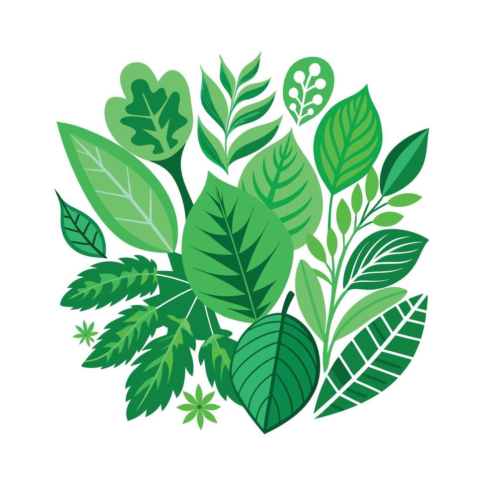 Realistic Beautiful Leaves Illustration vector