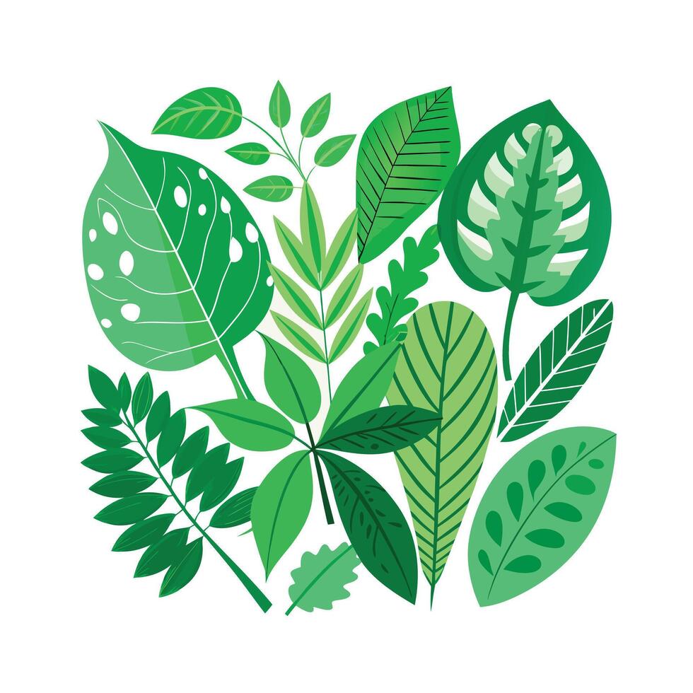Realistic Beautiful Leaves Illustration vector