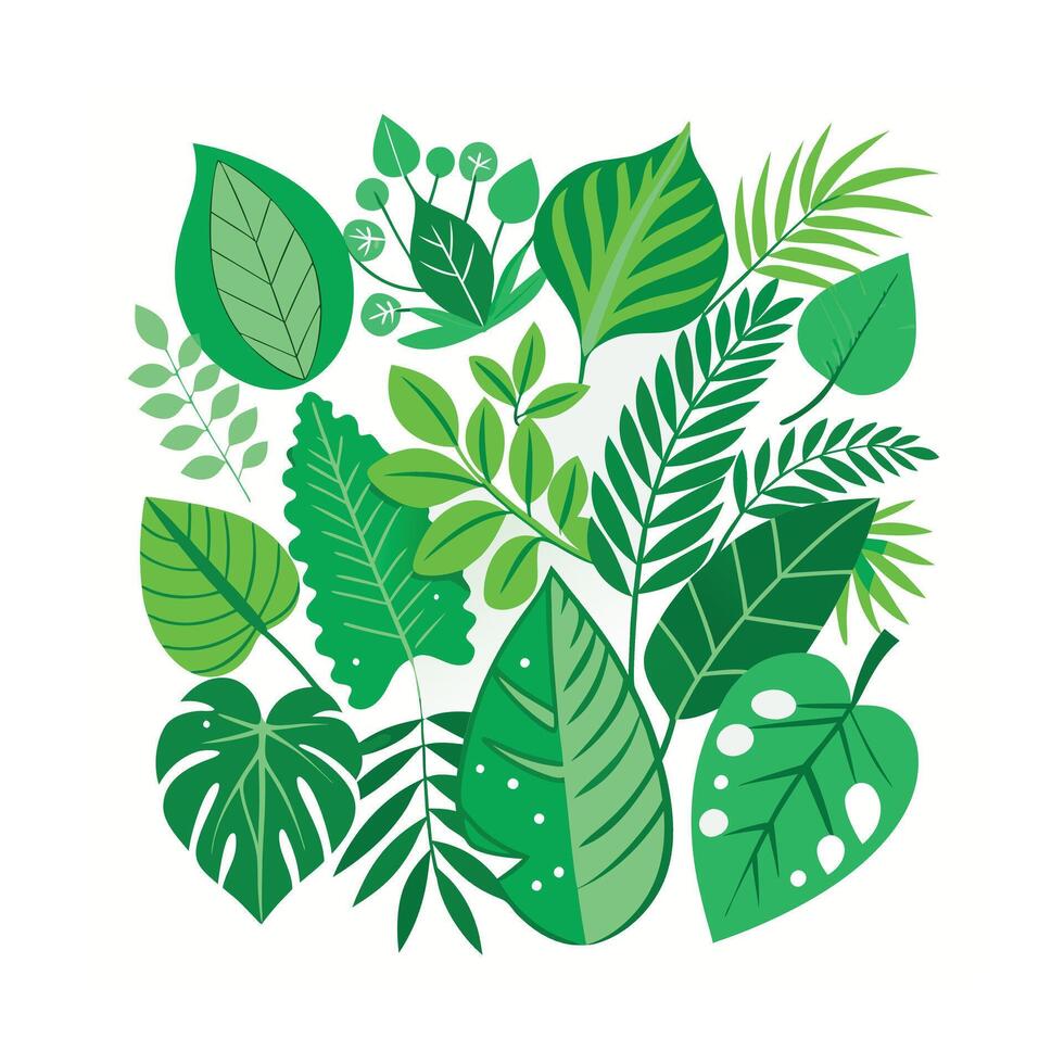 Realistic Beautiful Leaves Illustration vector