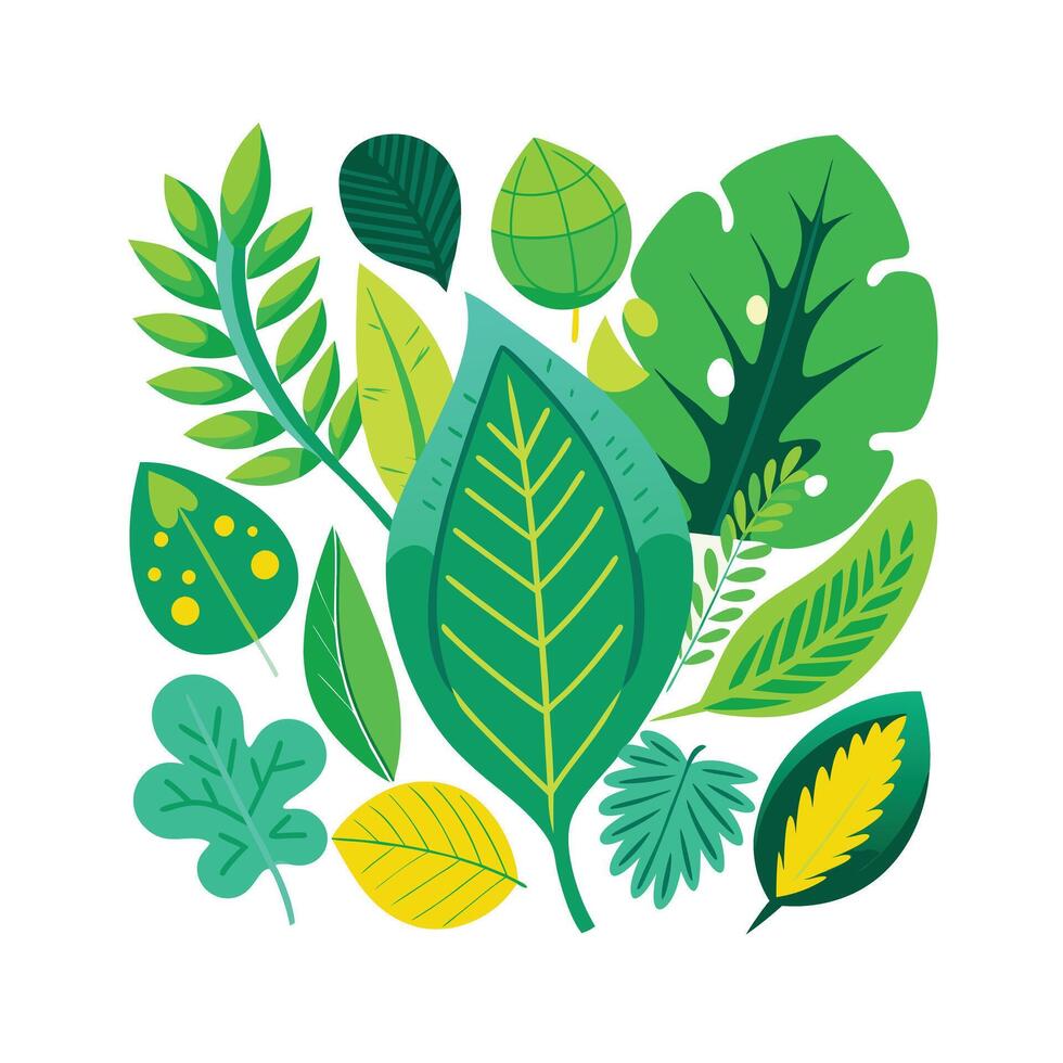 Realistic Beautiful Leaves Illustration vector