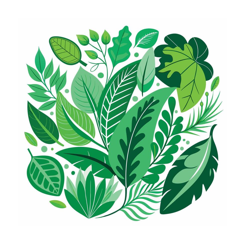Realistic Beautiful Leaves Illustration vector