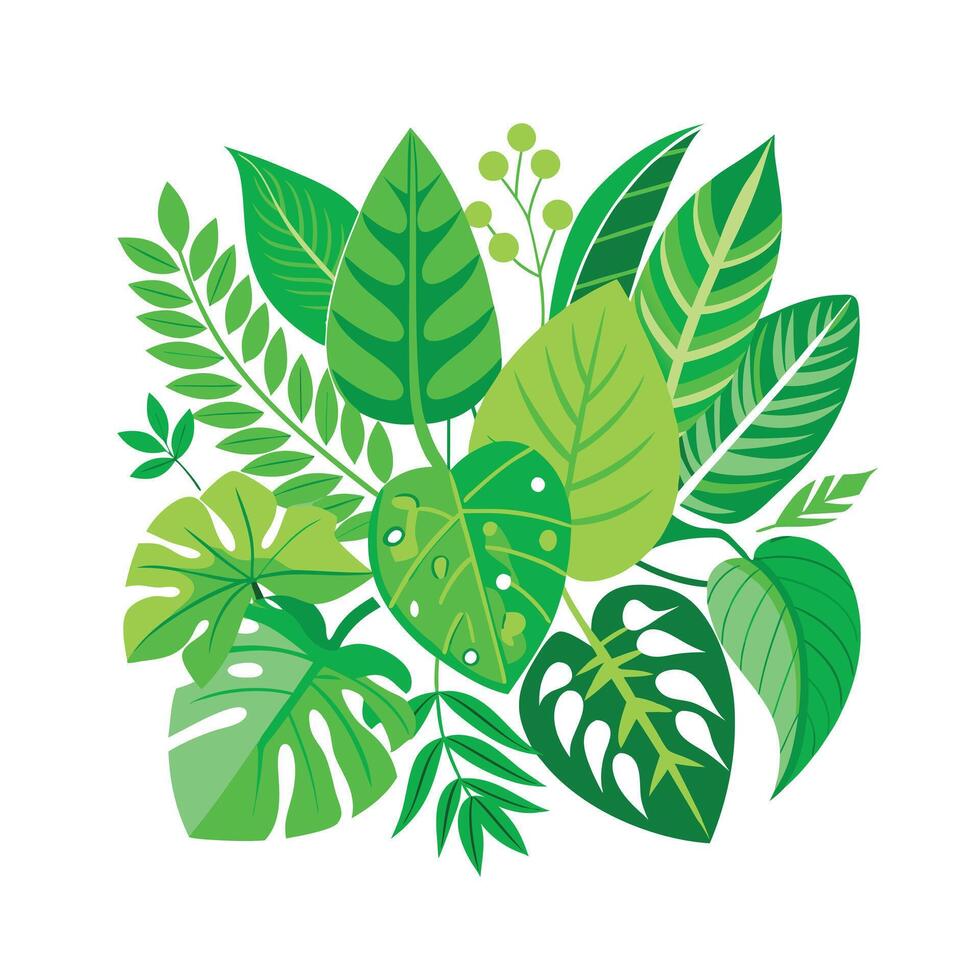 Realistic Beautiful Leaves Illustration vector