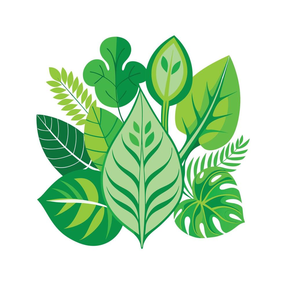 Realistic Beautiful Leaves Illustration vector