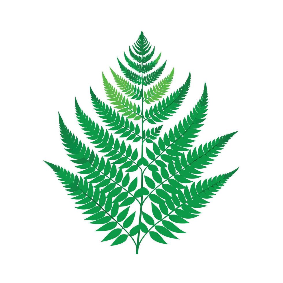 Realistic Beautiful Leaves Illustration vector