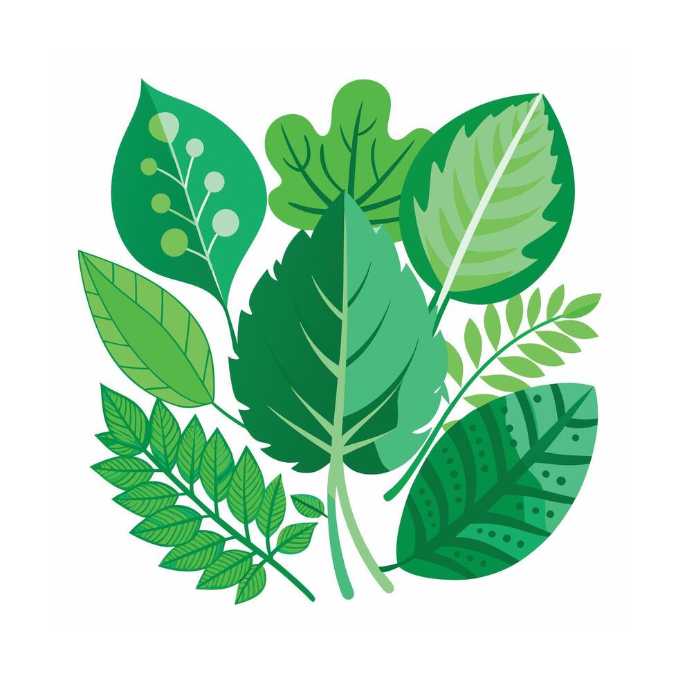 Realistic Beautiful Leaves Illustration vector