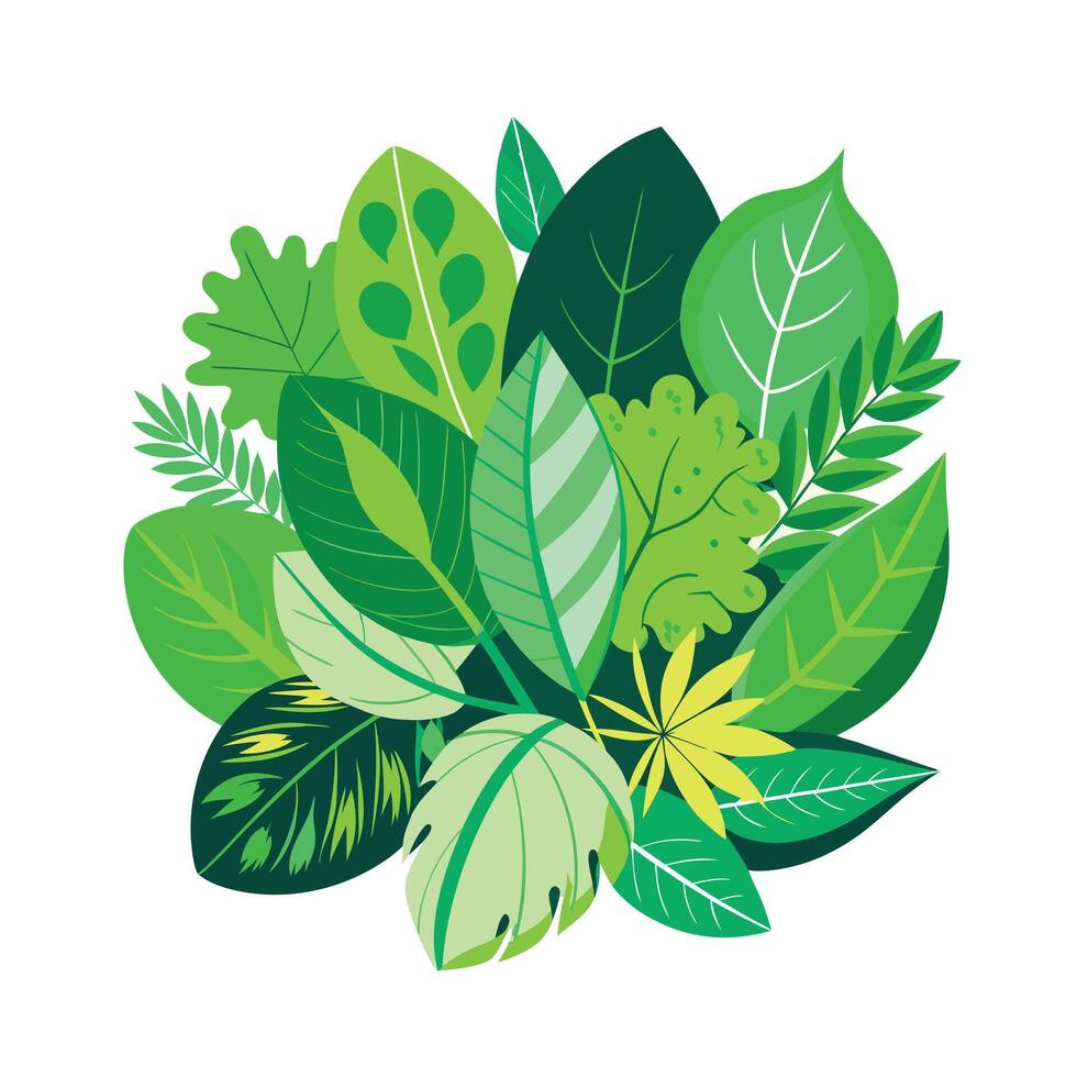 Realistic Beautiful Leaves Illustration vector