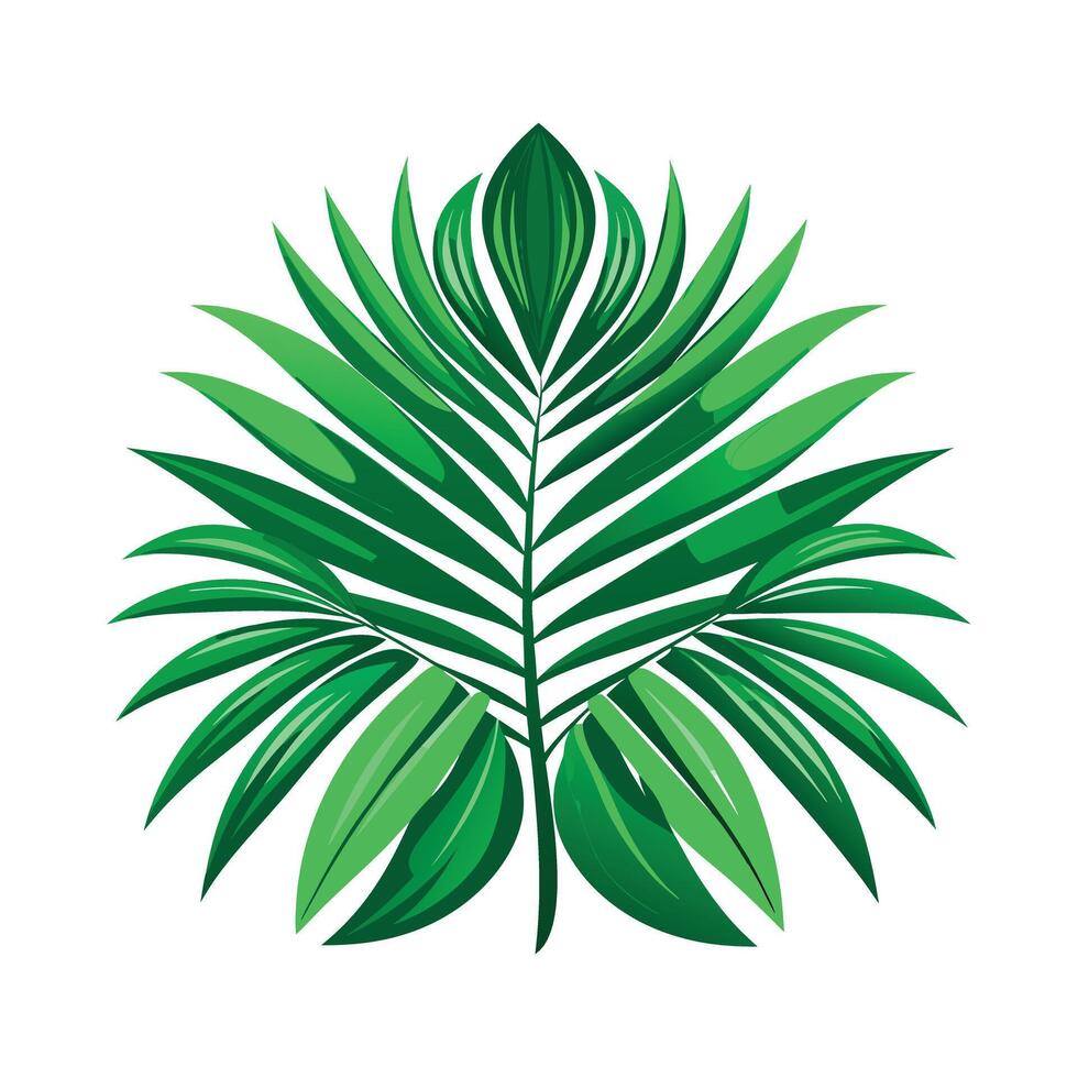 Realistic Beautiful Leaves Illustration vector