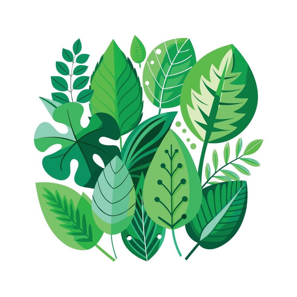 Realistic Beautiful Leaves Illustration vector