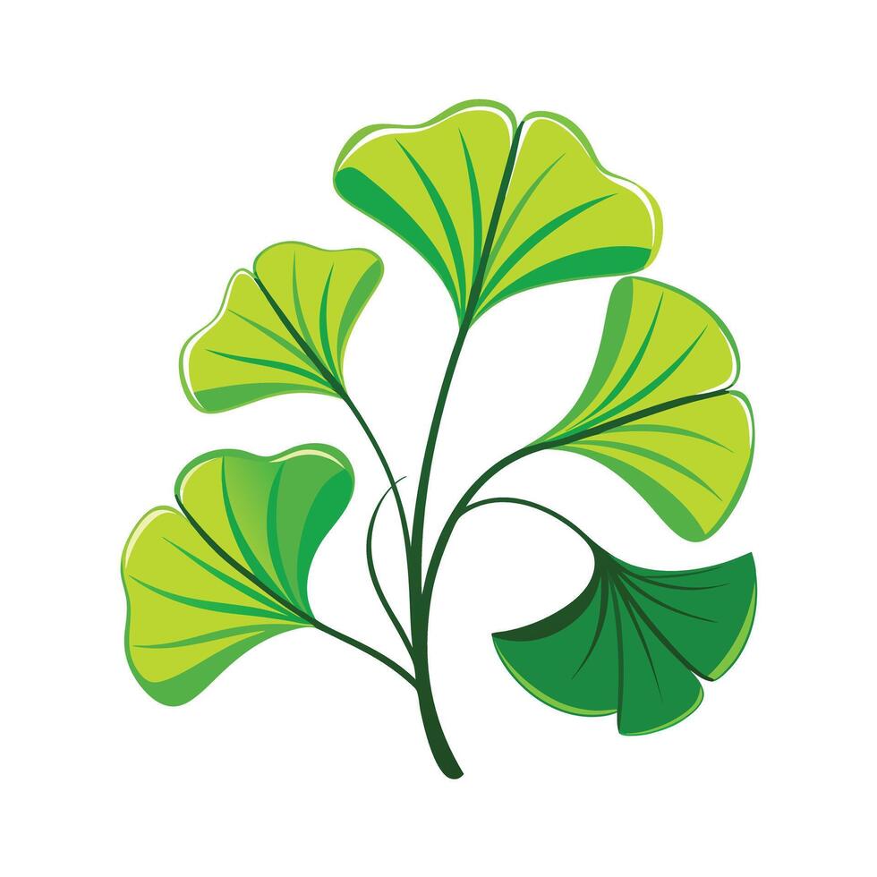 Realistic Beautiful Leaves Illustration vector