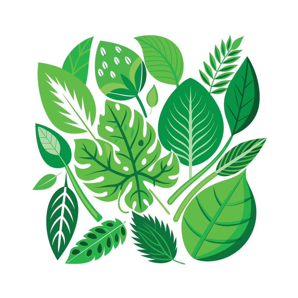 Realistic Beautiful Leaves Illustration vector