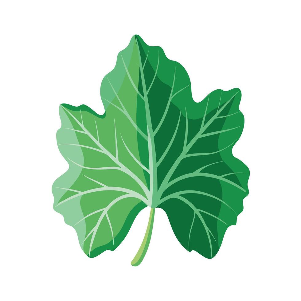 Realistic Beautiful Leaves Illustration vector