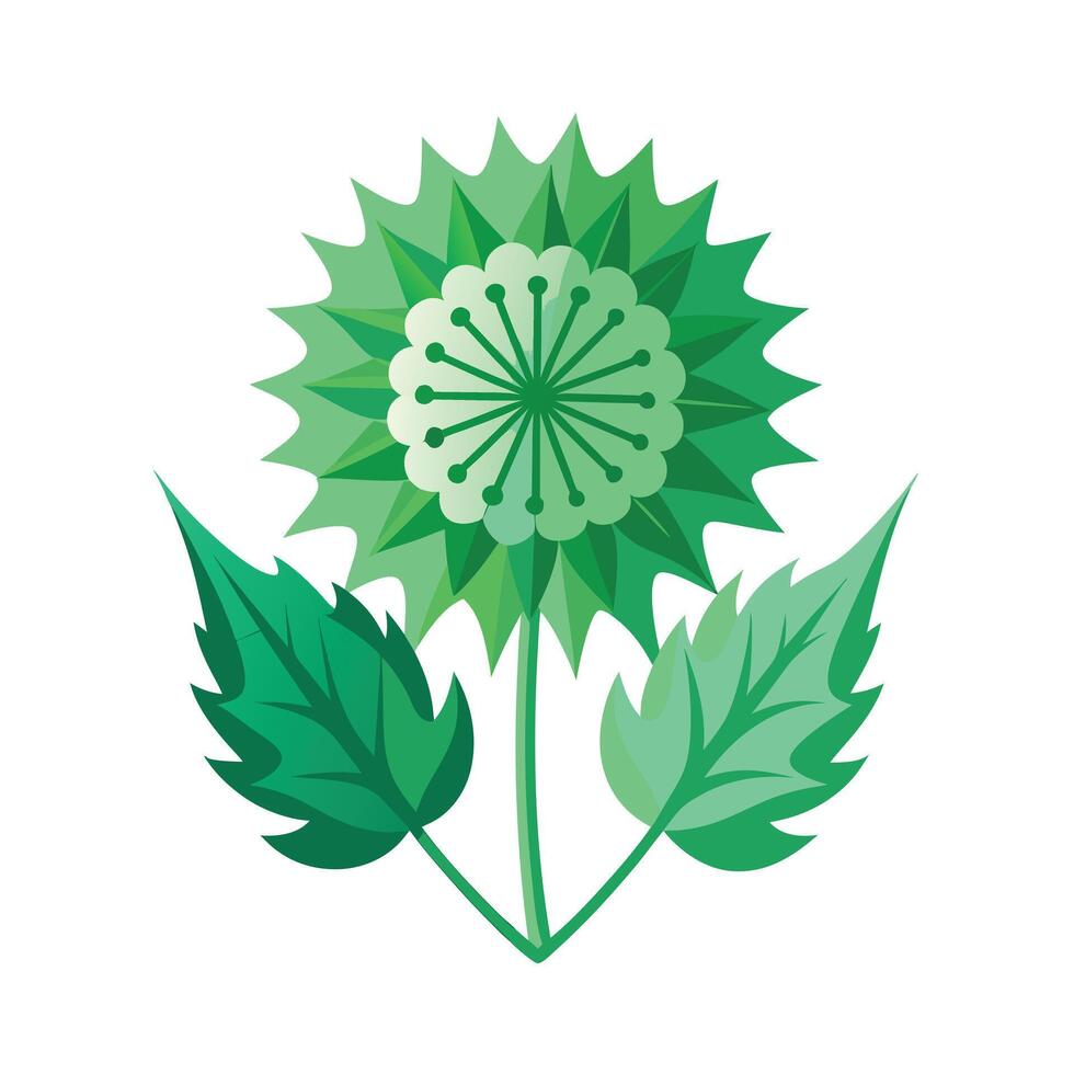 Realistic Beautiful Leaves Illustration vector