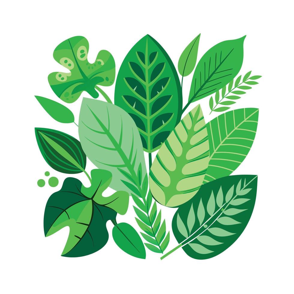 Realistic Beautiful Leaves Illustration vector