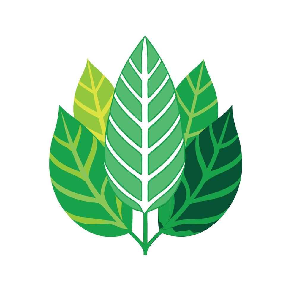 Realistic Beautiful Leaves Illustration vector