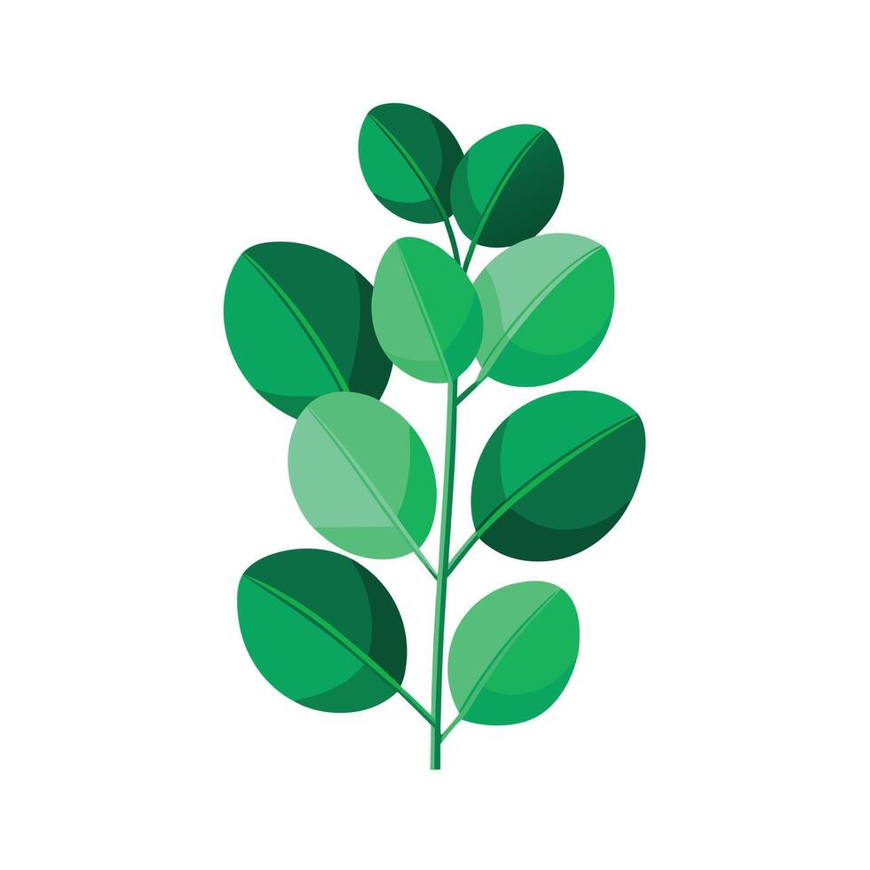Realistic Beautiful Leaves Illustration vector