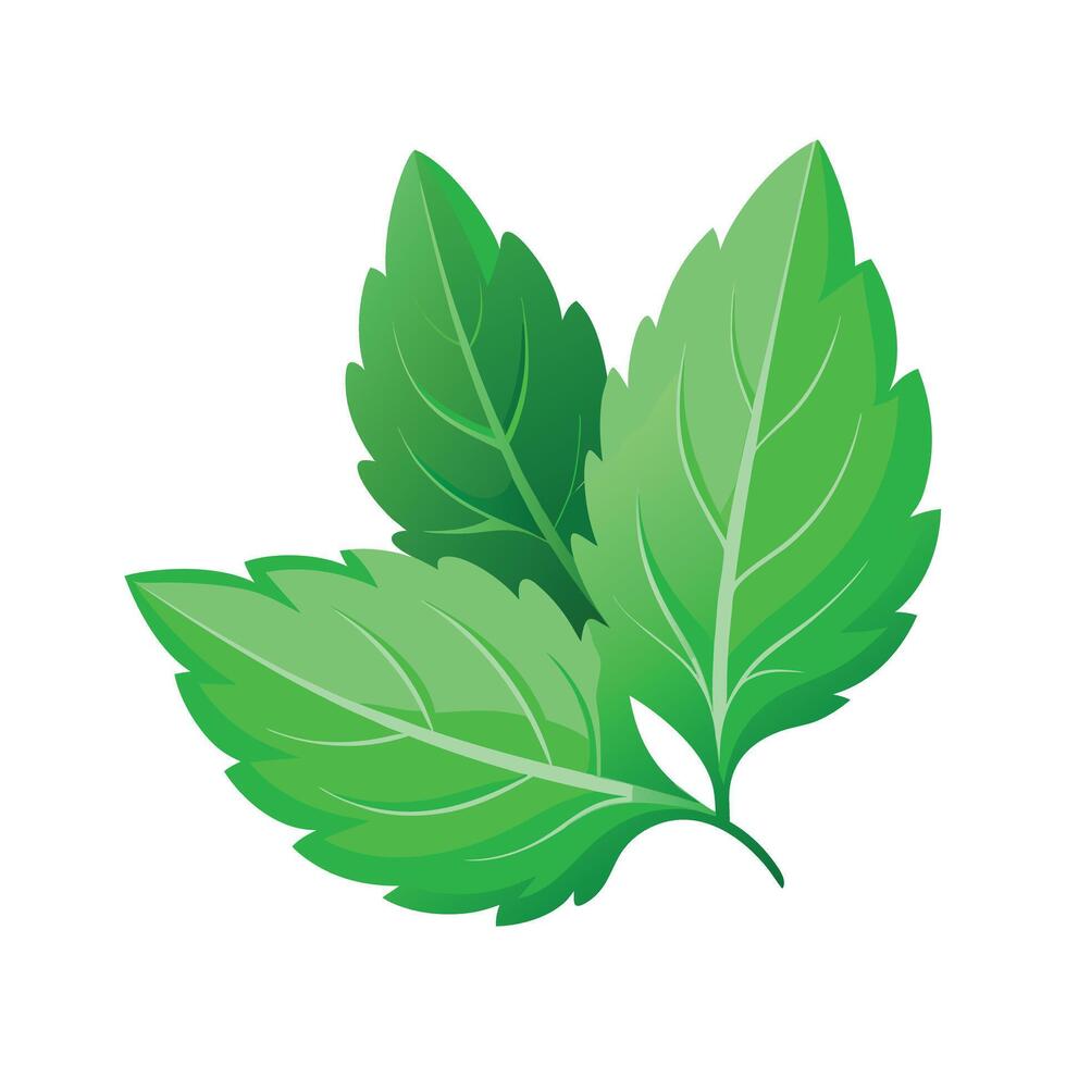 Realistic Beautiful Leaves Illustration vector
