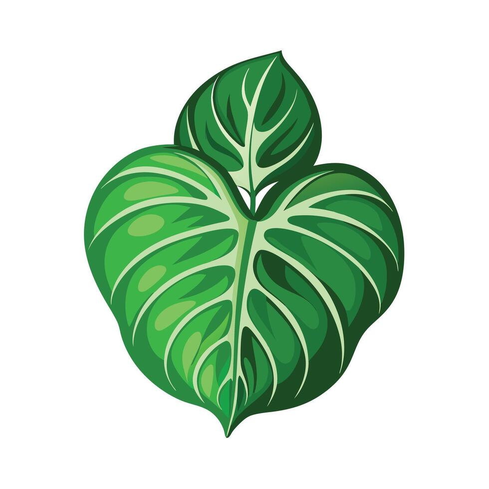 Realistic Beautiful Leaves Illustration vector
