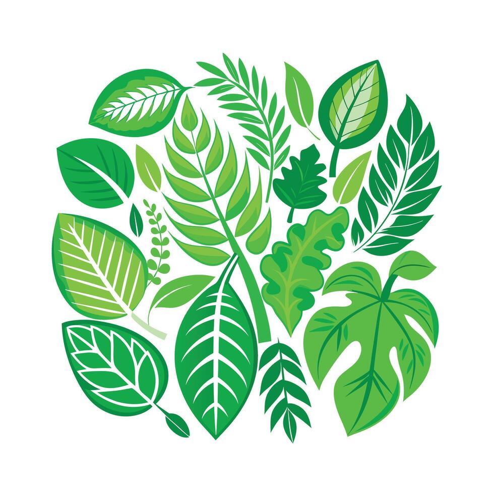 Realistic Beautiful Leaves Illustration vector