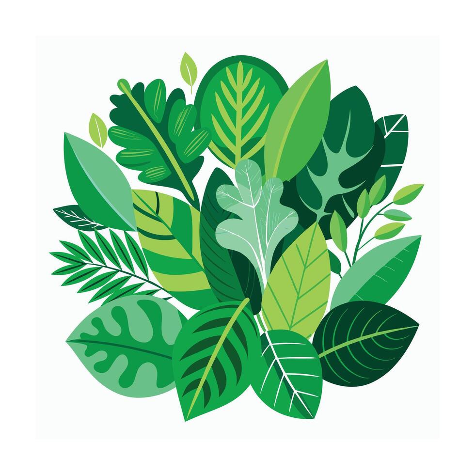 Realistic Beautiful Leaves Illustration vector