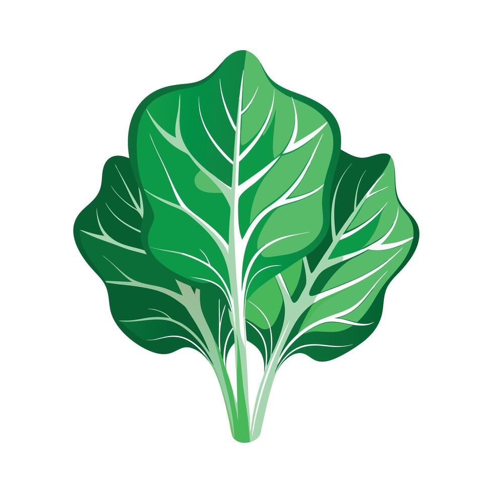 Realistic Beautiful Leaves Illustration vector