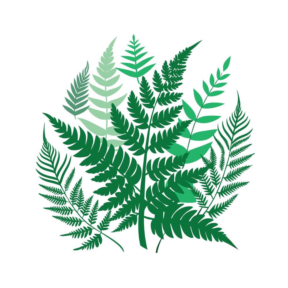 Realistic Beautiful Leaves Illustration vector