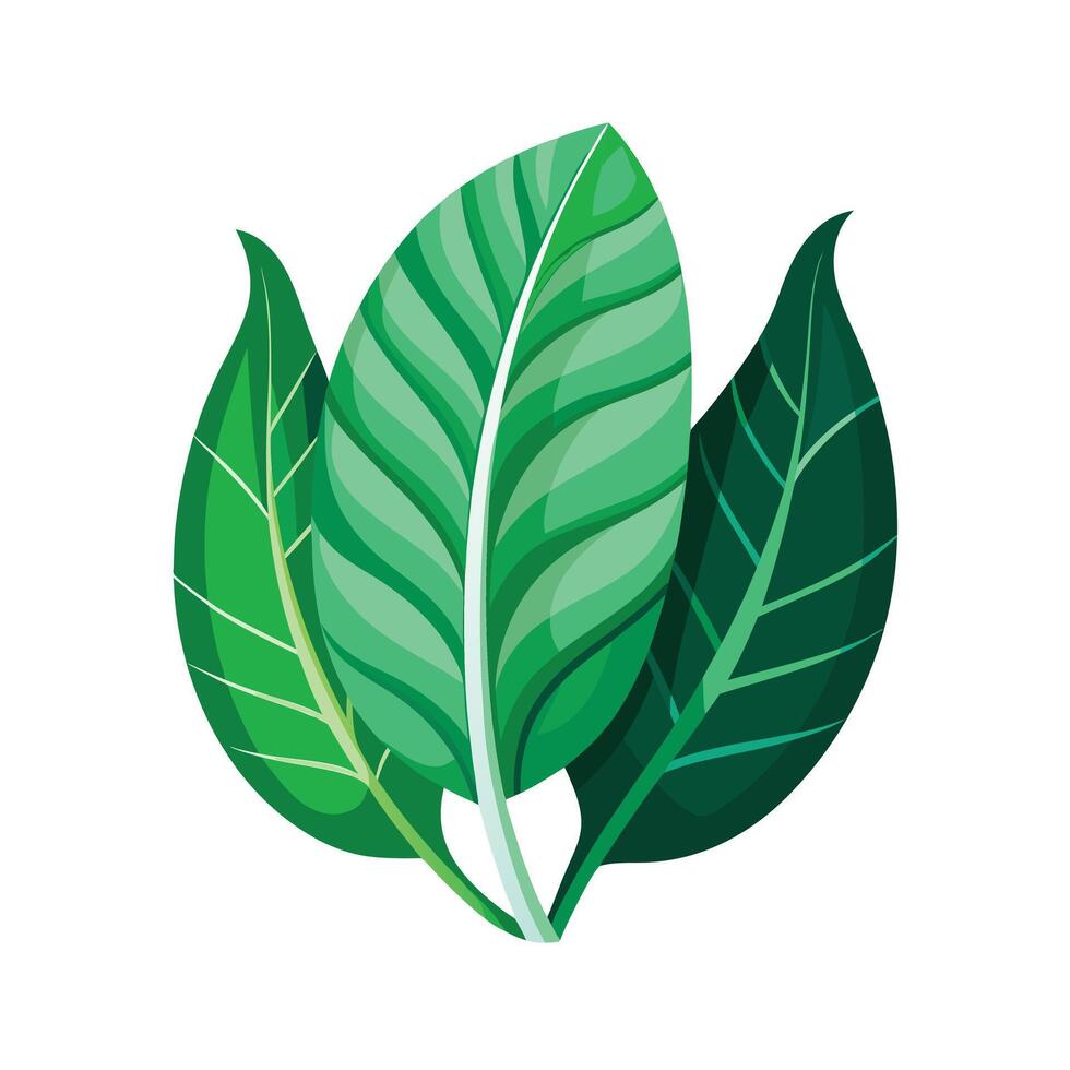 Realistic Beautiful Leaves Illustration vector