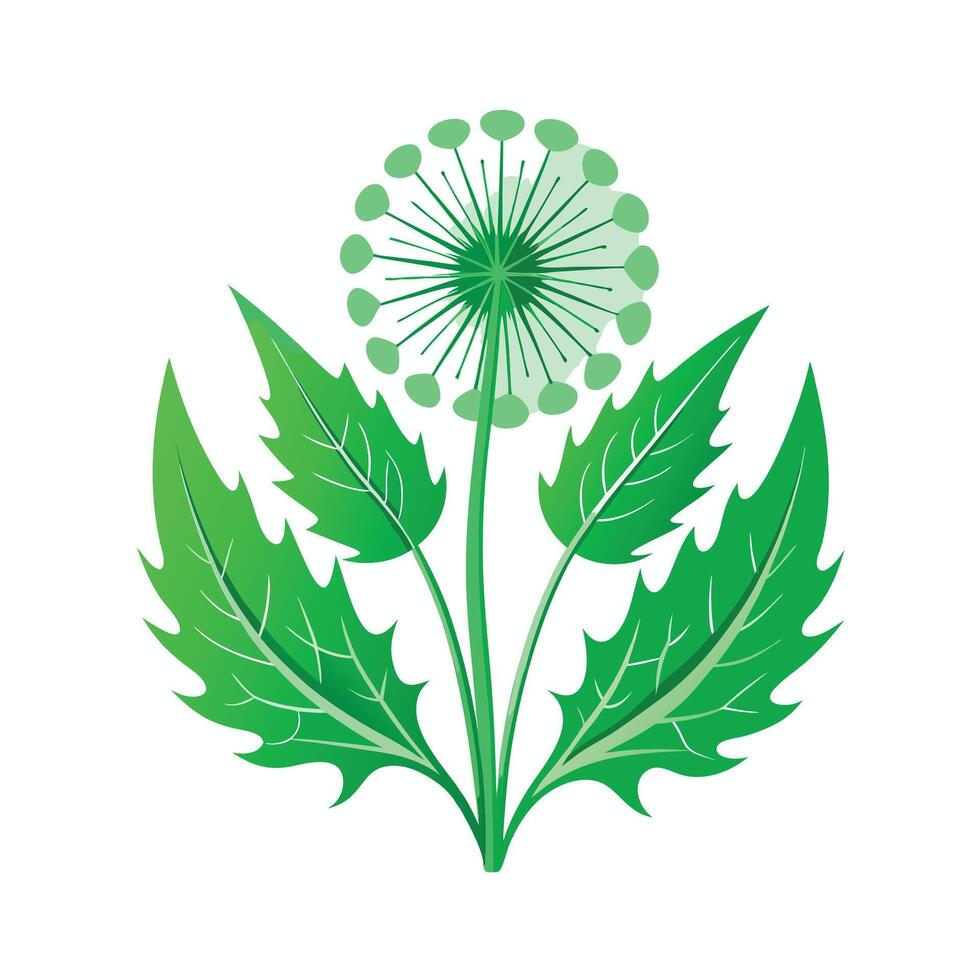 Realistic Beautiful Leaves Illustration vector