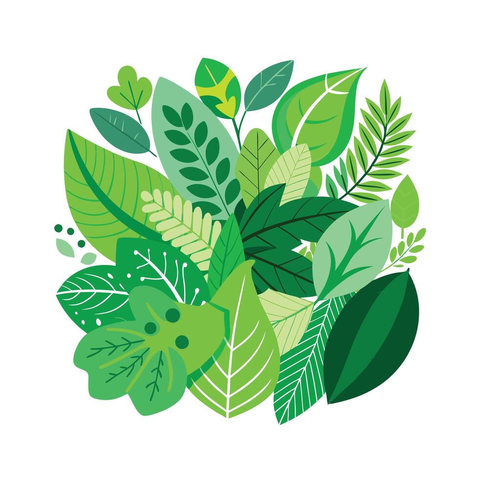 Realistic Beautiful Leaves Illustration vector
