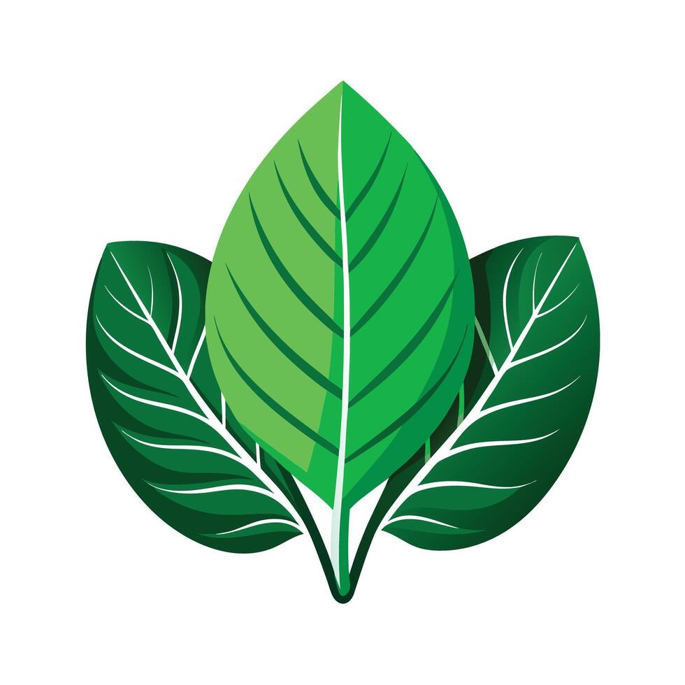 Realistic Beautiful Leaves Illustration vector
