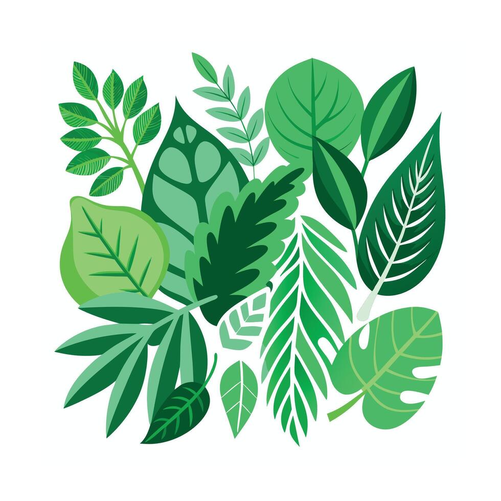 Realistic Beautiful Leaves Illustration vector