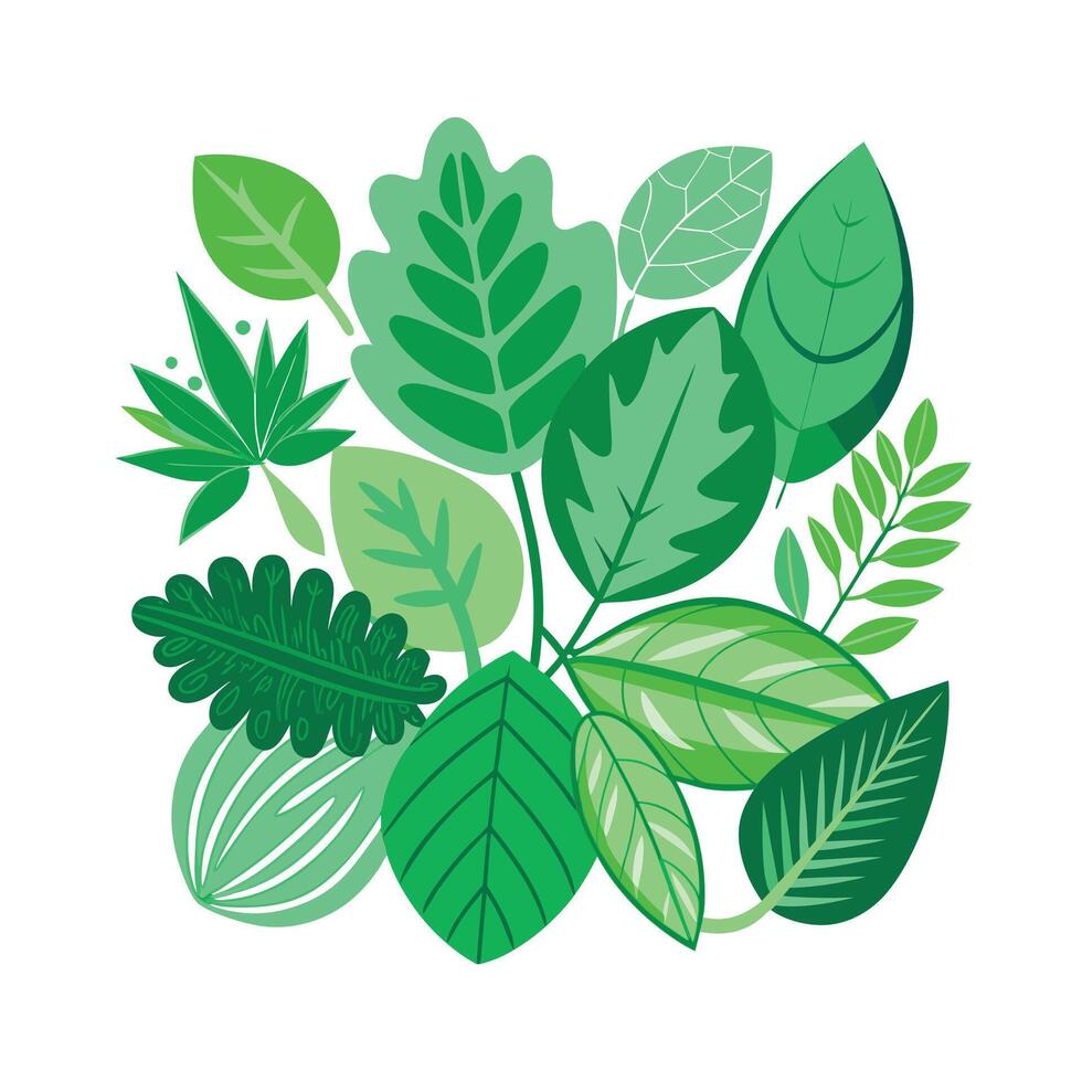 Realistic Beautiful Leaves Illustration vector