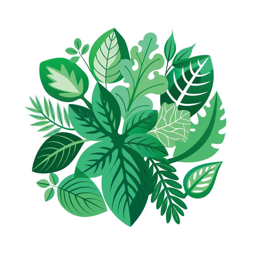 Realistic Beautiful Leaves Illustration vector
