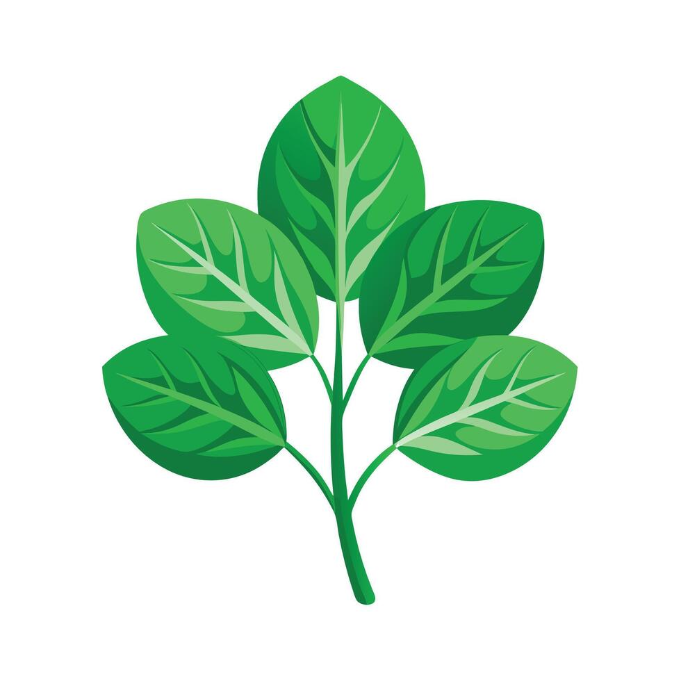Realistic Beautiful Leaves Illustration vector