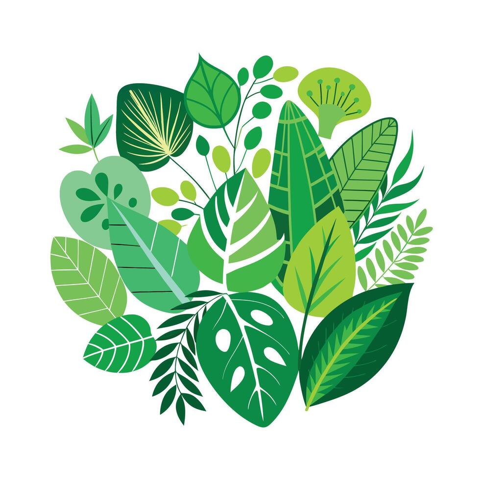 Realistic Beautiful Leaves Illustration vector
