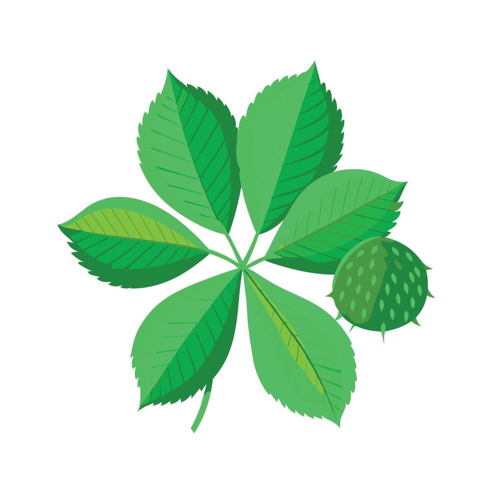 Realistic Beautiful Leaves Illustration vector