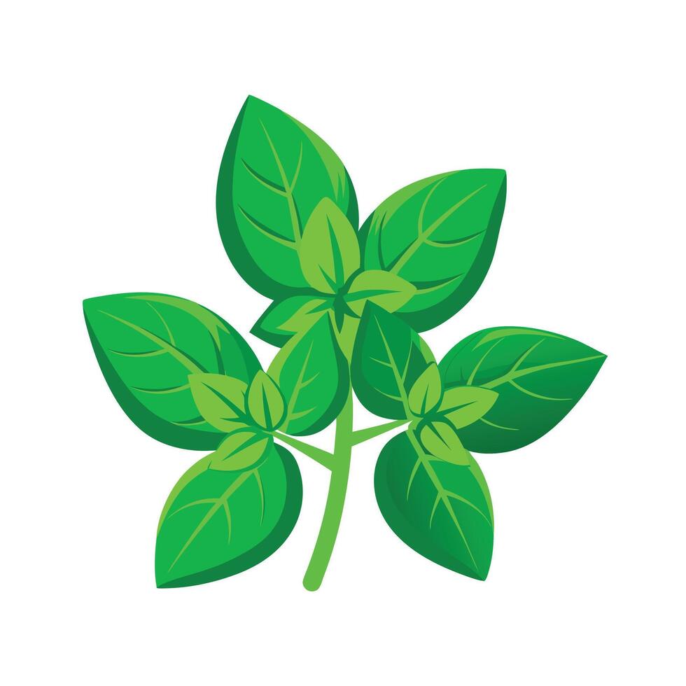 Realistic Beautiful Leaves Illustration vector