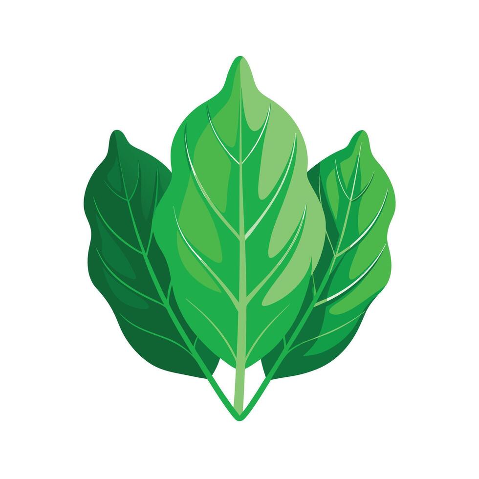 Realistic Beautiful Leaves Illustration vector
