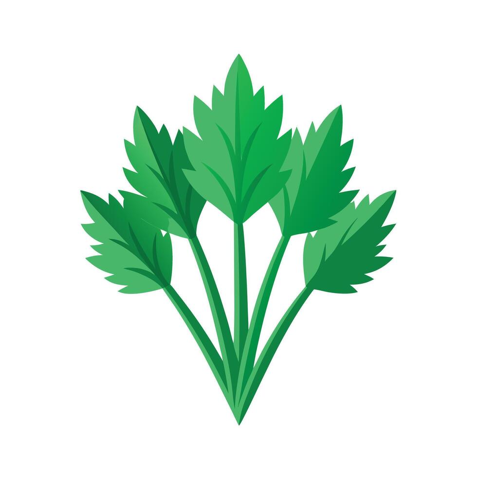 Realistic Beautiful Leaves Illustration vector