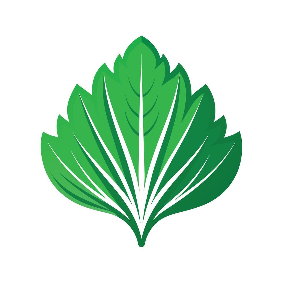 Realistic Beautiful Leaves Illustration vector