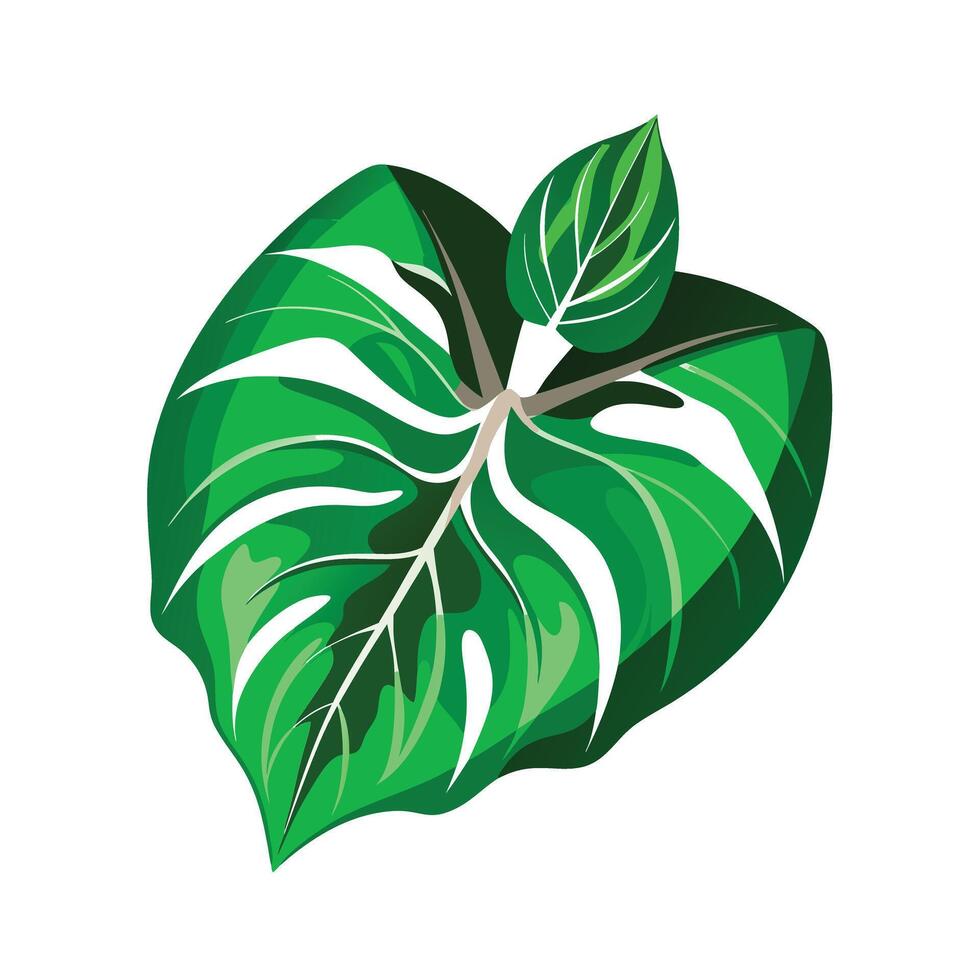 Realistic Beautiful Leaves Illustration vector