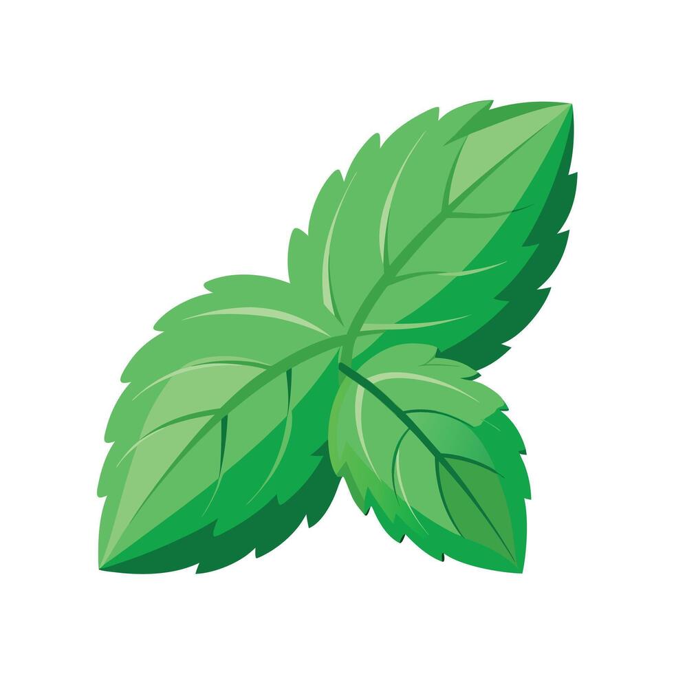 Realistic Beautiful Leaves Illustration vector