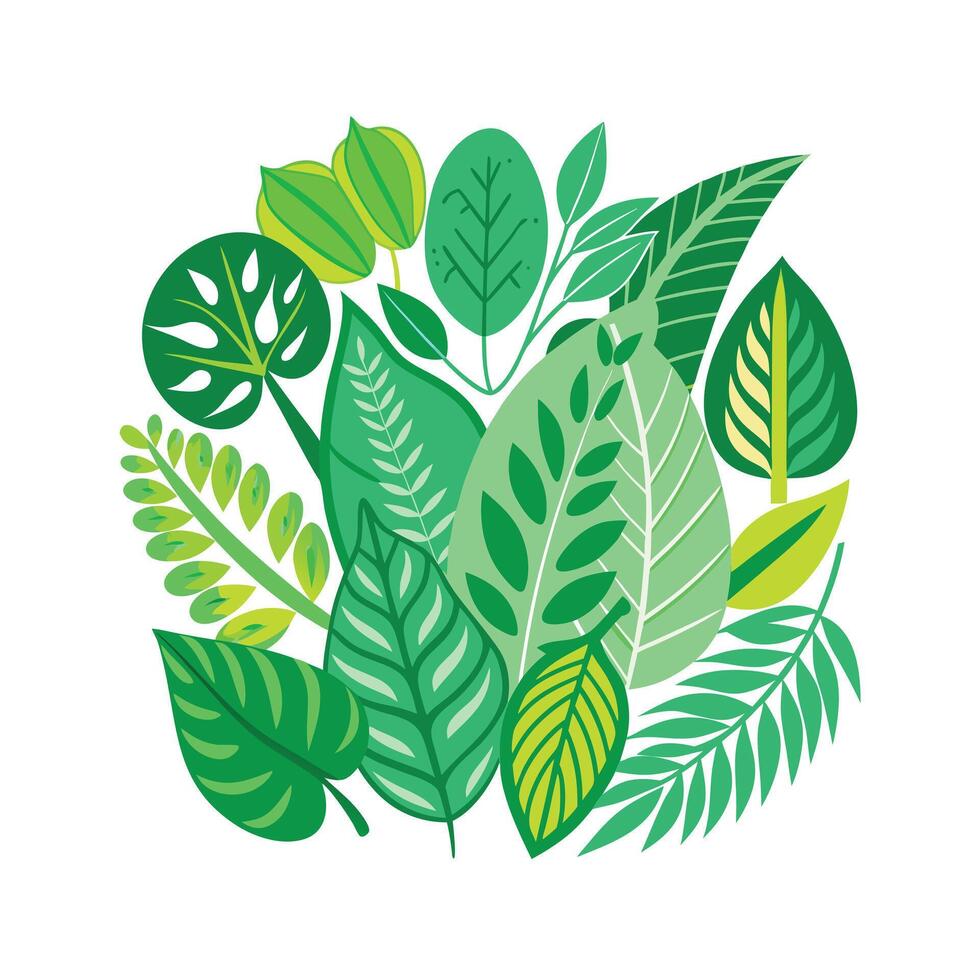 Realistic Beautiful Leaves Illustration vector