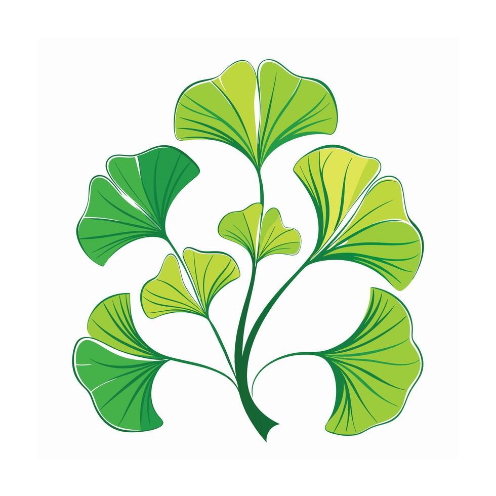 Realistic Beautiful Leaves Illustration vector