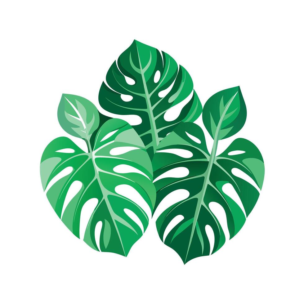 Realistic Beautiful Leaves Illustration vector