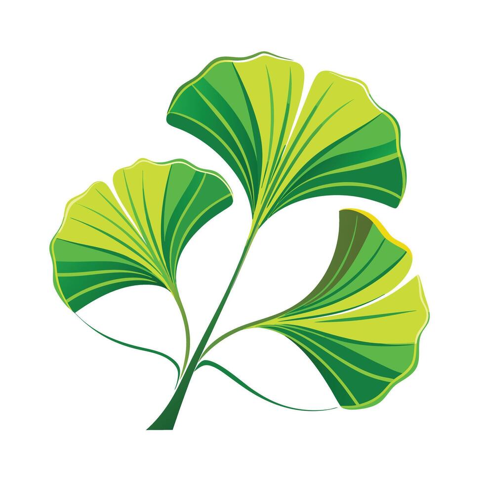 Realistic Beautiful Leaves Illustration vector