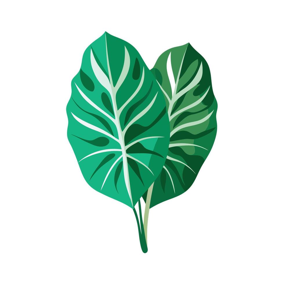 Realistic Beautiful Leaves Illustration vector