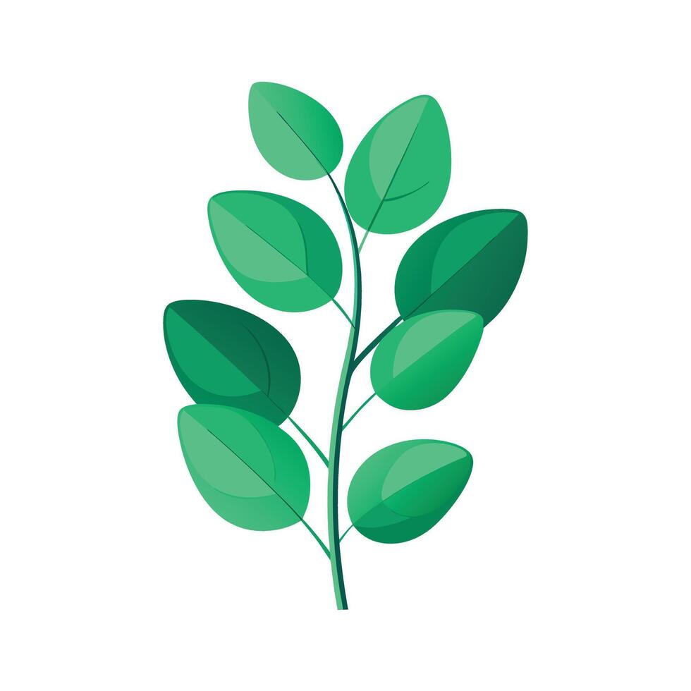 Realistic Beautiful Leaves Illustration vector