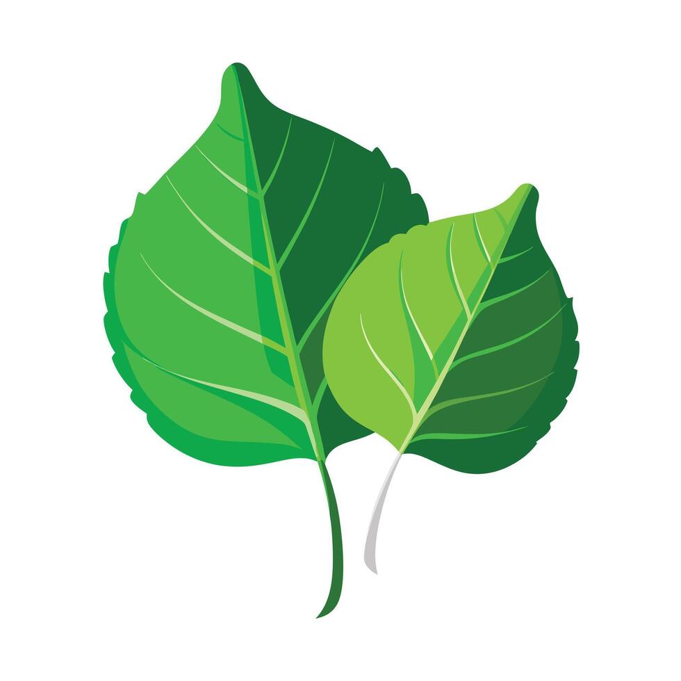 Realistic Beautiful Leaves Illustration vector